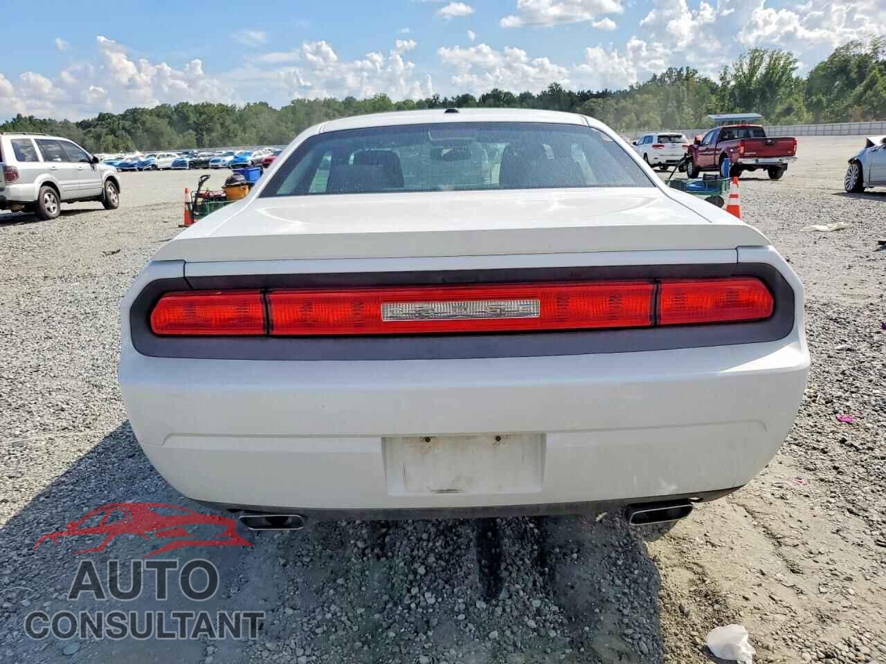 DODGE CHALLENGER 2013 - 2C3CDYAG9DH647594