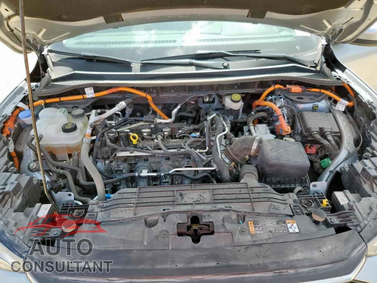 FORD ESCAPE 2024 - 1FMCU0E1XRUA62882