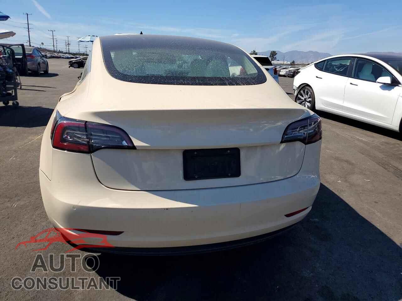 TESLA MODEL 3 2019 - 5YJ3E1EA6KF431436