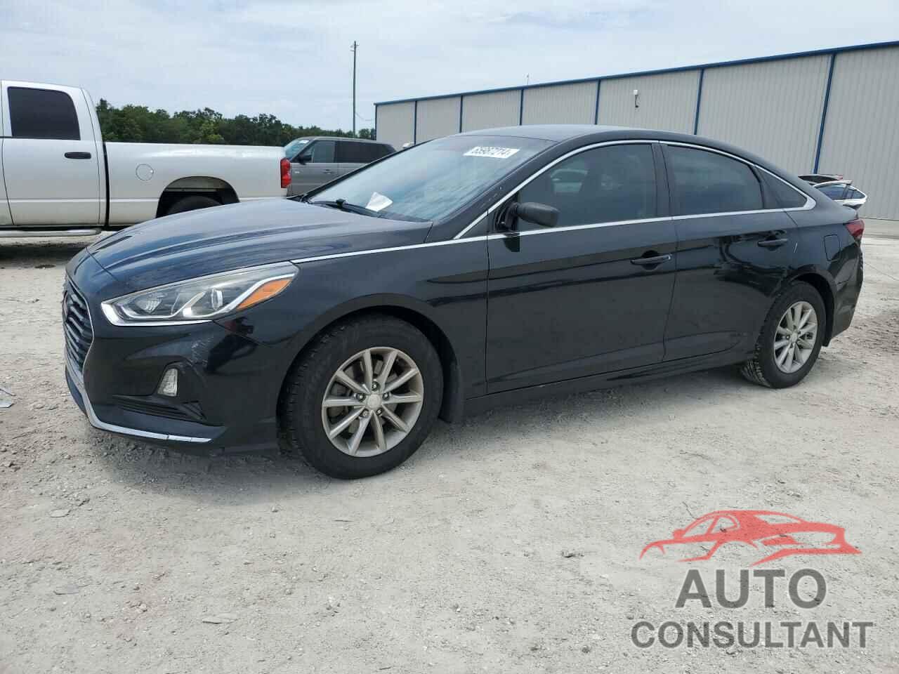 HYUNDAI SONATA 2019 - 5NPE24AF0KH757920