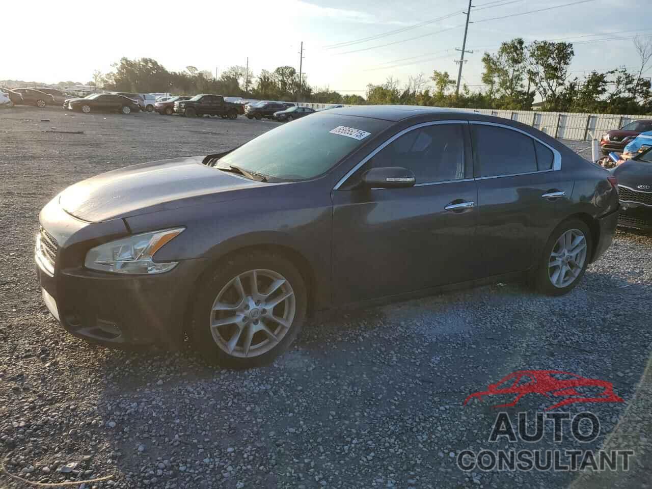 NISSAN MAXIMA 2010 - 1N4AA5APXAC800885