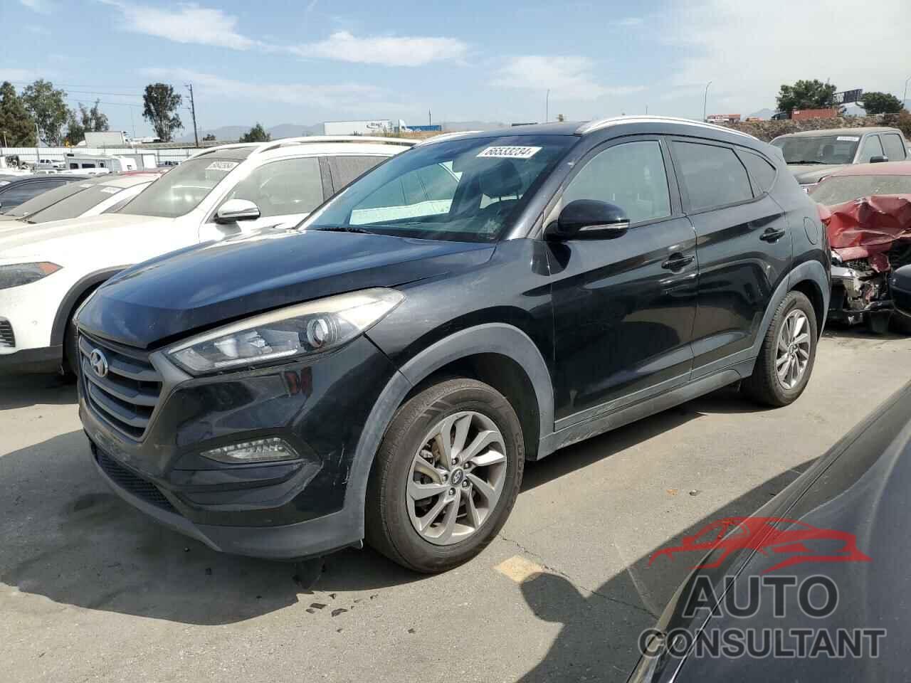 HYUNDAI TUCSON 2016 - KM8J33A21GU181119