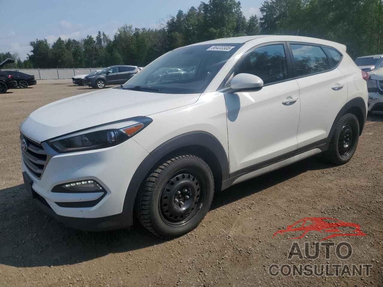 HYUNDAI TUCSON 2017 - KM8J23A43HU513616