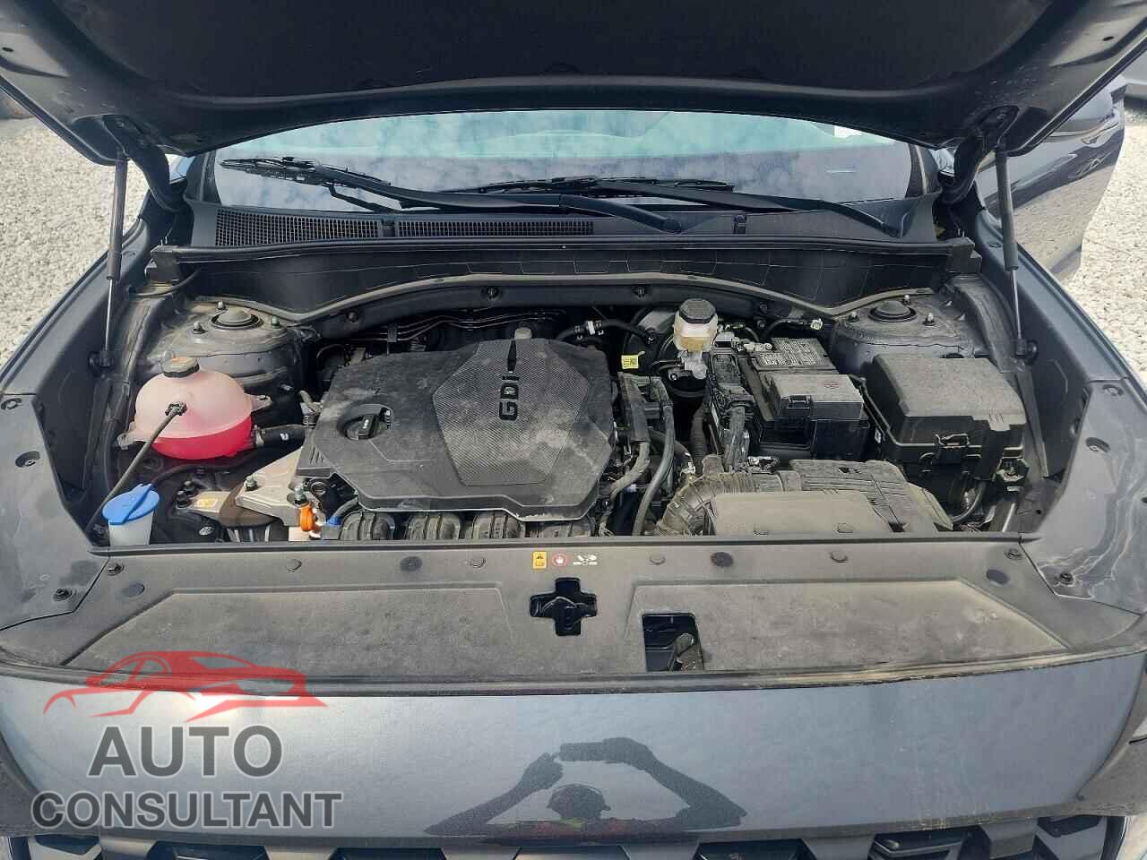 HYUNDAI SANTA FE 2023 - 5NMS14AJ4PH614659