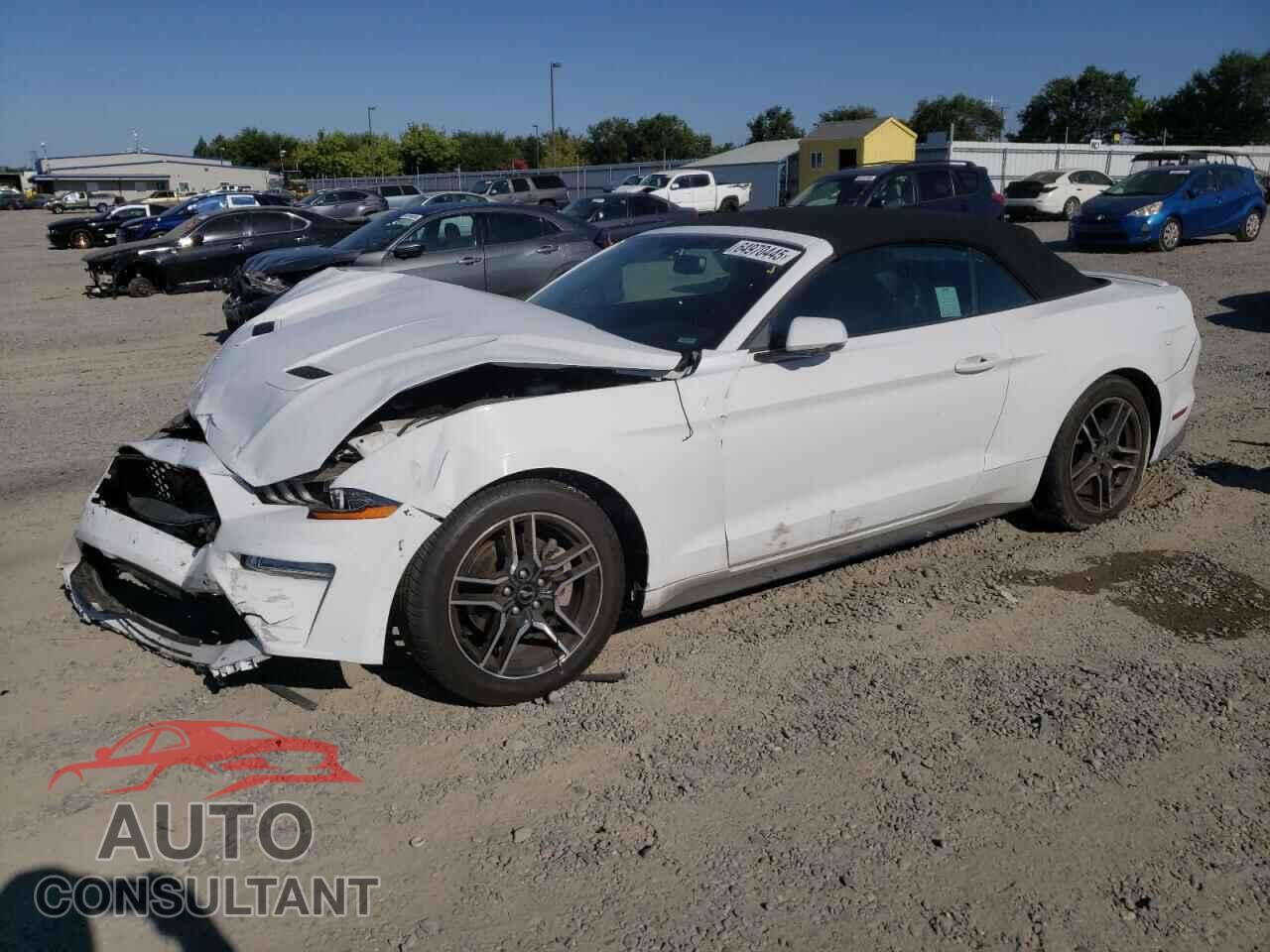 FORD ALL Models 2019 - 1FATP8UH5K5126261