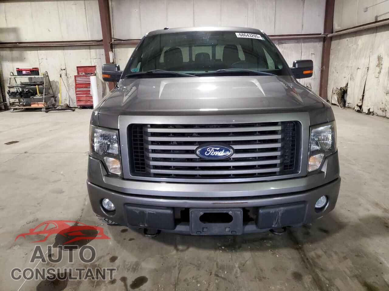 FORD F-150 2011 - 1FTFX1EFXBFD04719