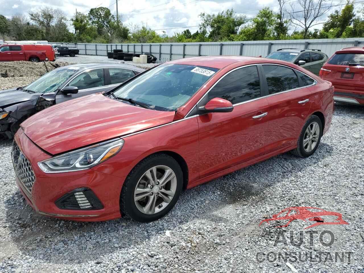 HYUNDAI SONATA 2019 - 5NPE34AF0KH776593
