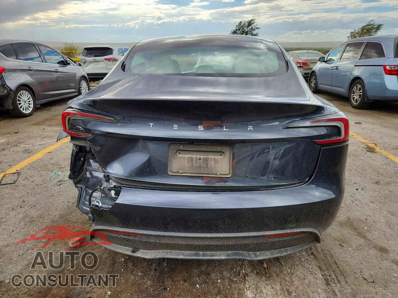 TESLA MODEL 3 2025 - 5YJ3E1EA1SF973351