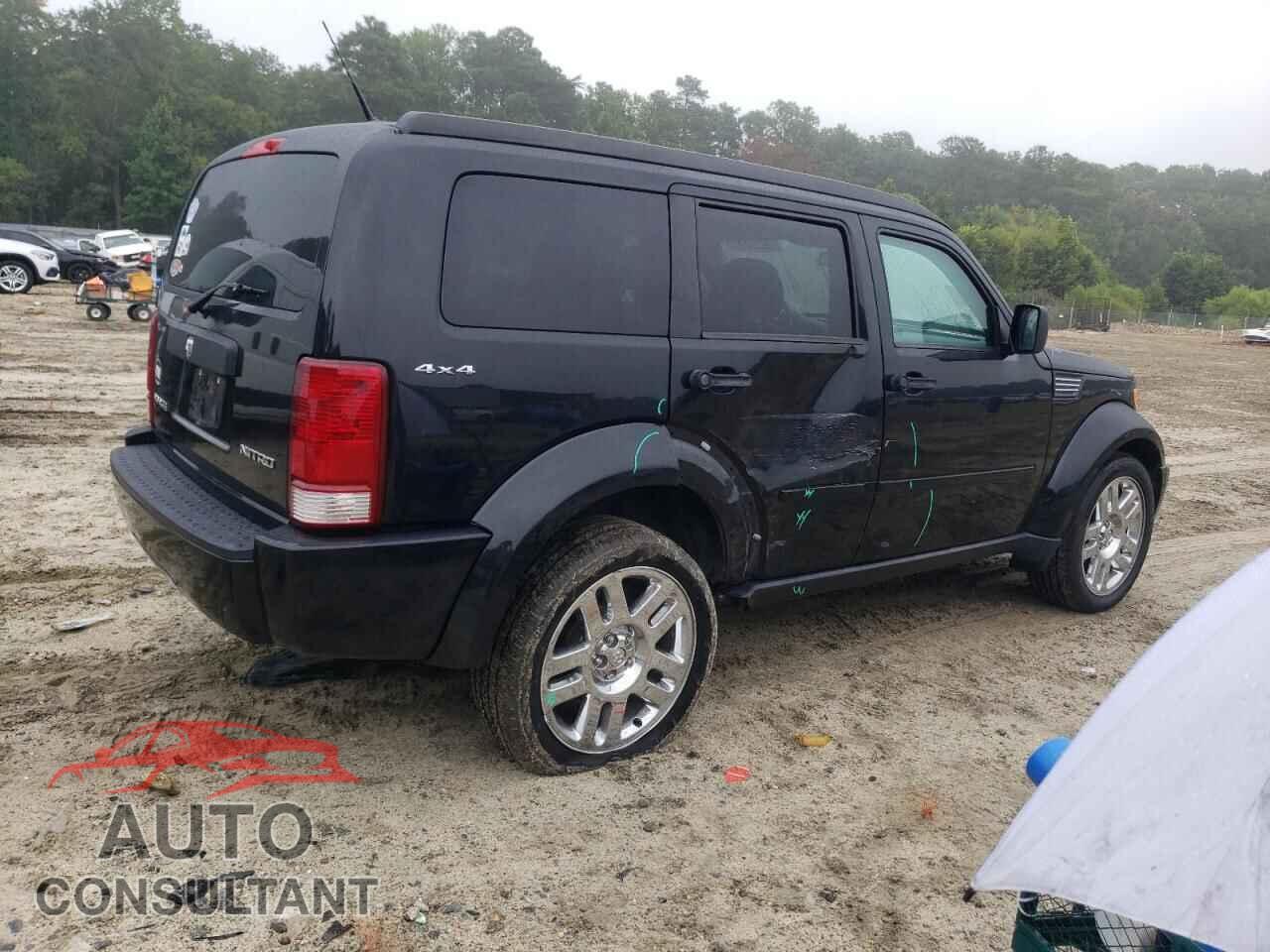 DODGE NITRO 2011 - 1D4PU4GKXBW570737