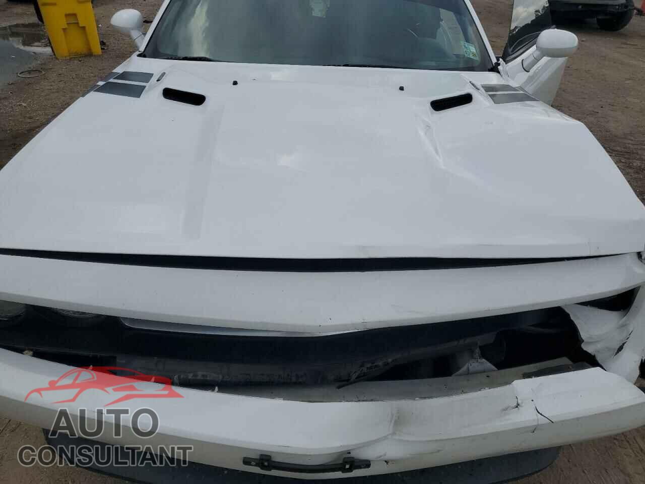DODGE CHALLENGER 2013 - 2C3CDYBT2DH511366