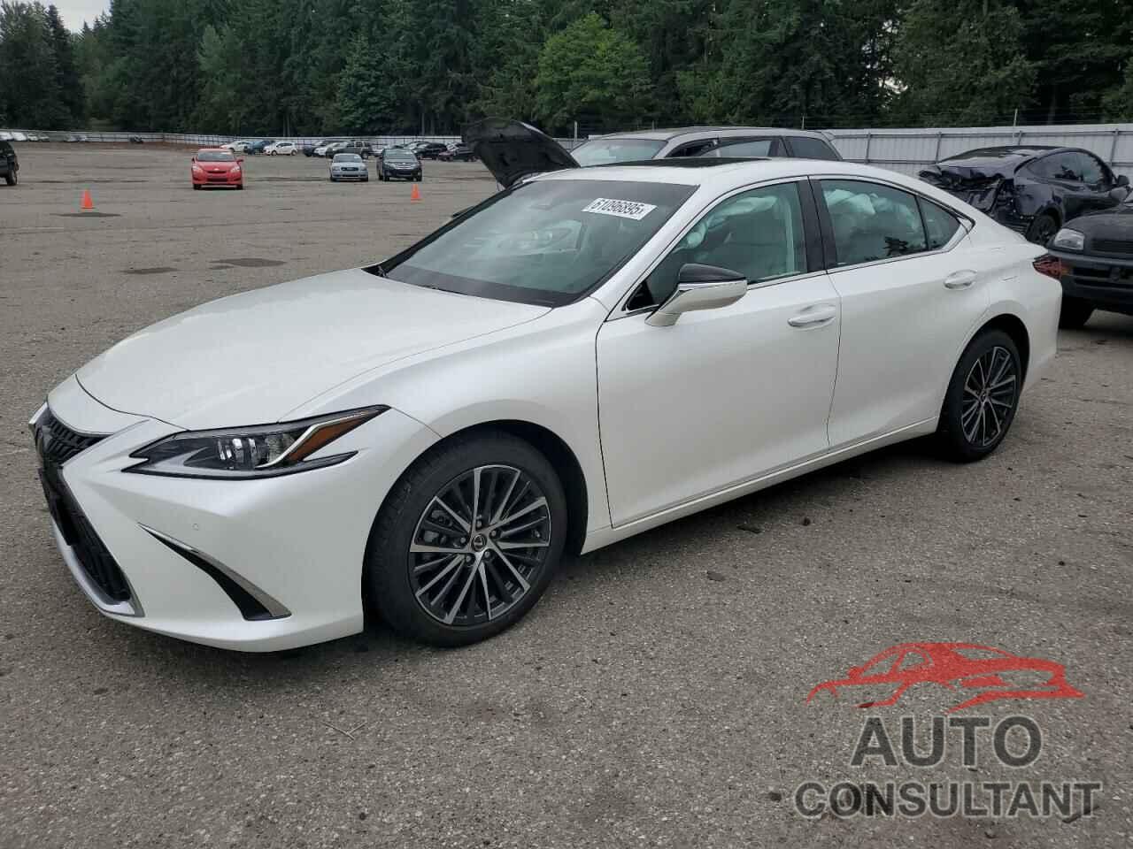 LEXUS ES250 2024 - 58AD11D19RU012276