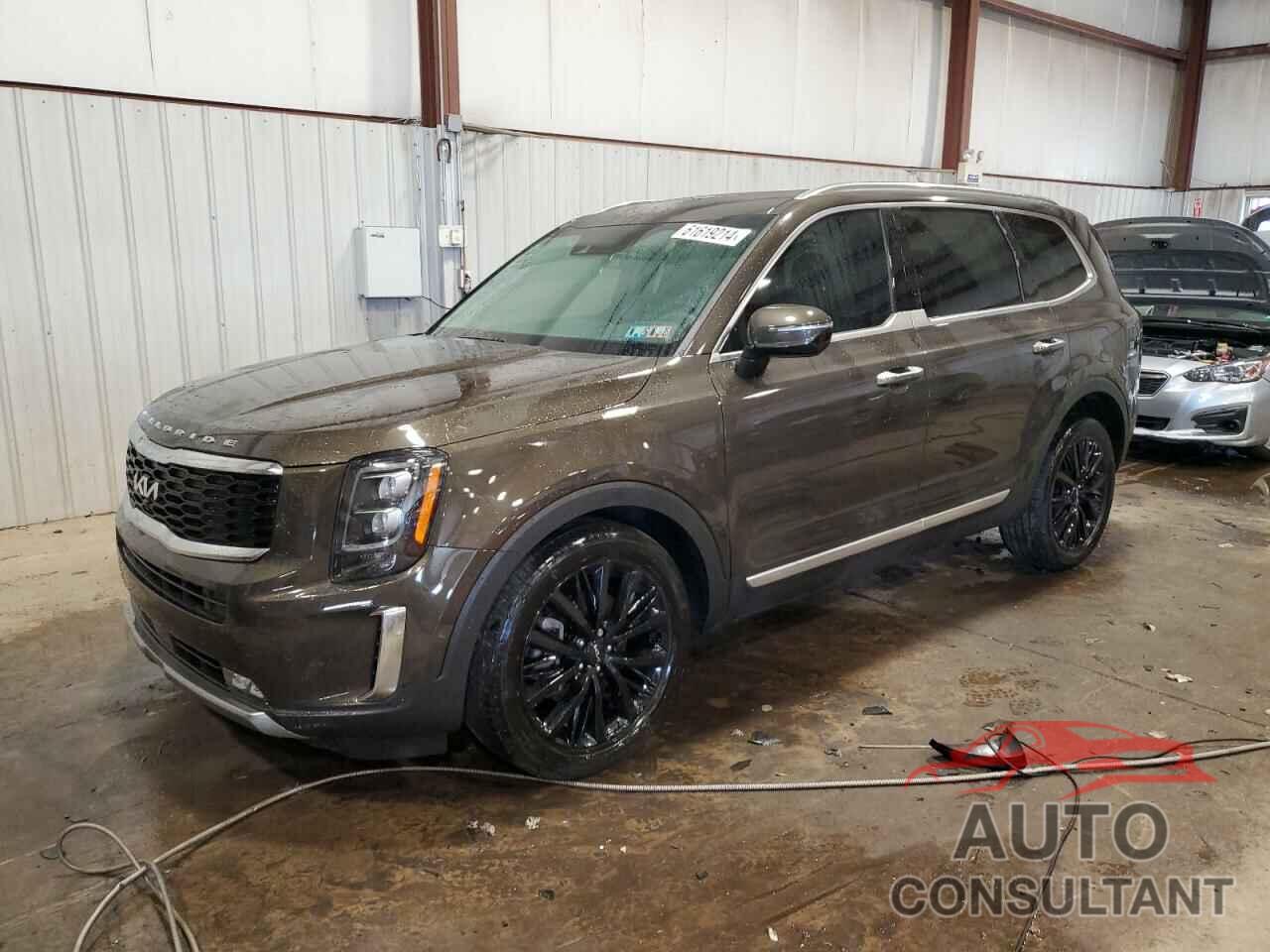 KIA TELLURIDE 2022 - 5XYP5DHC7NG272214