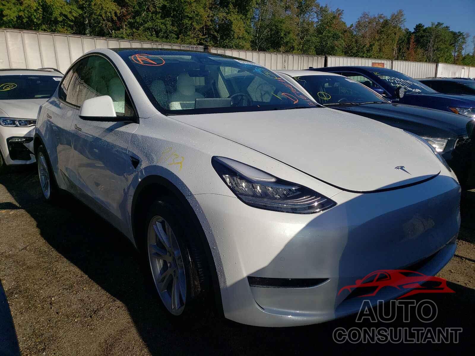 TESLA MODEL Y 2021 - 5YJYGAEE5MF195125