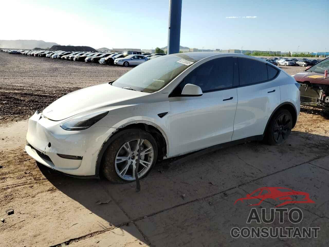 TESLA MODEL Y 2023 - 7SAYGDEEXPF646087