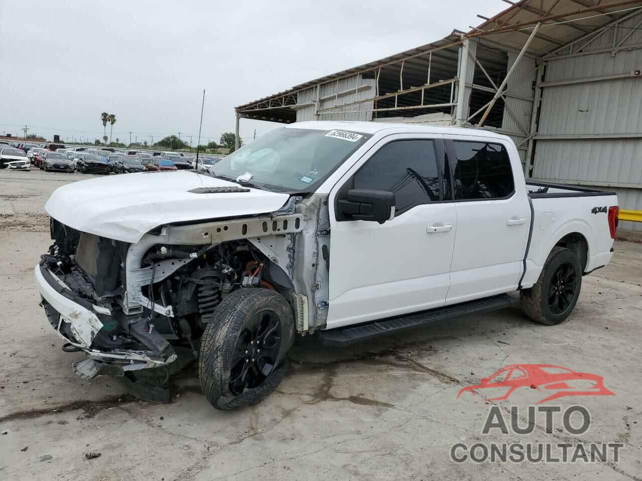 FORD F-150 2022 - 1FTFW1E81NFB40575