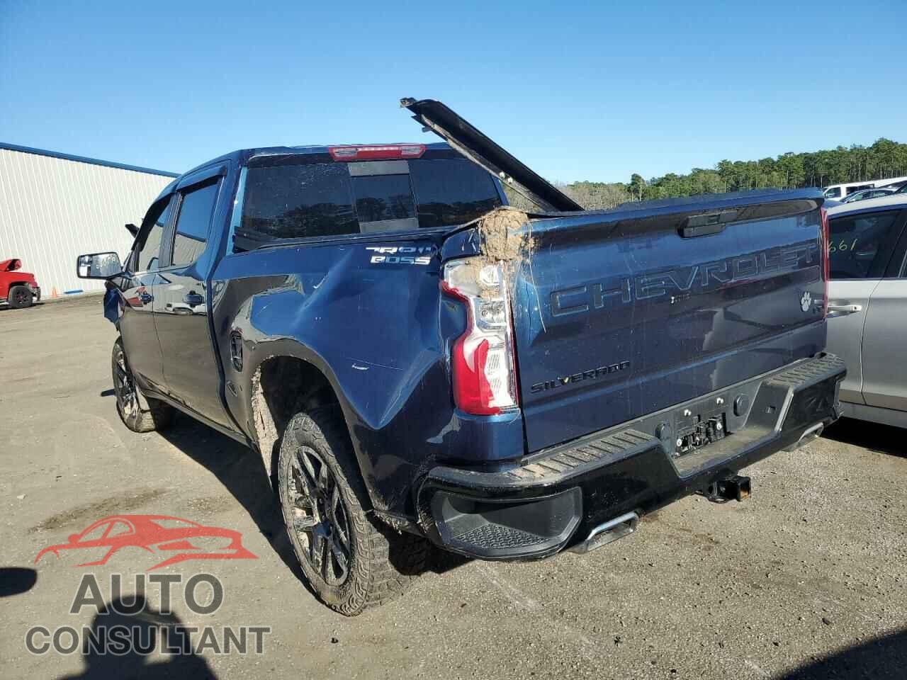 CHEVROLET SILVERADO 2021 - 3GCPYFED9MG303561