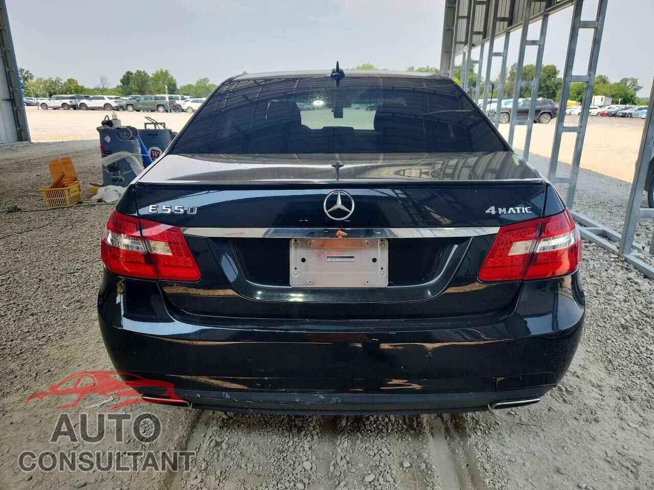 MERCEDES-BENZ E-CLASS 2013 - WDDHF9BB6DA662191