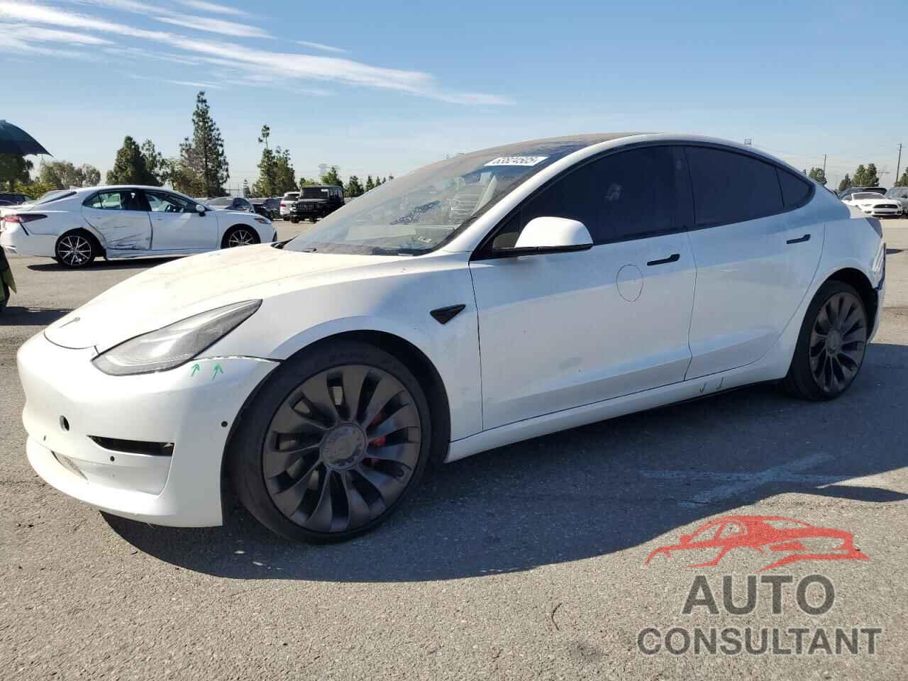 TESLA MODEL 3 2021 - 5YJ3E1EC1MF876249