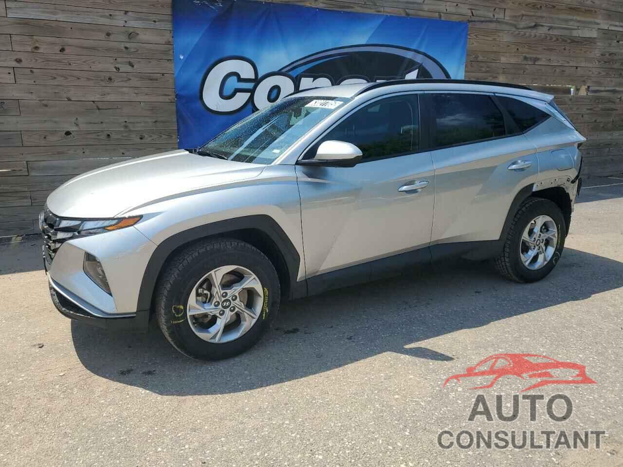 HYUNDAI TUCSON 2024 - 5NMJBCDE1RH296679