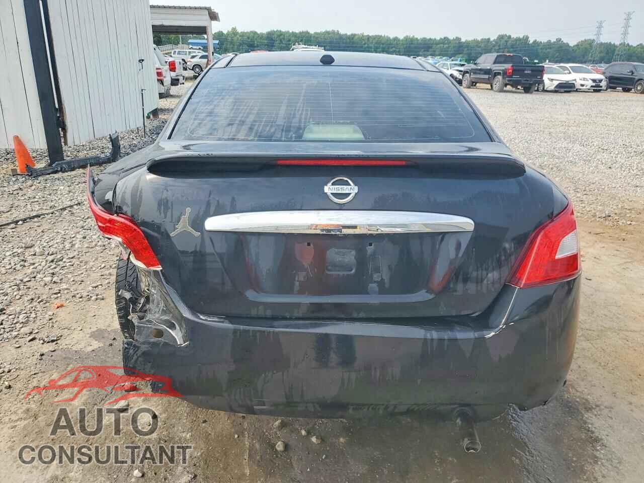 NISSAN MAXIMA 2011 - 1N4AA5AP8BC815659