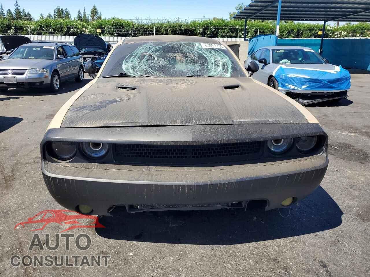 DODGE CHALLENGER 2013 - 2C3CDYAG5DH705152