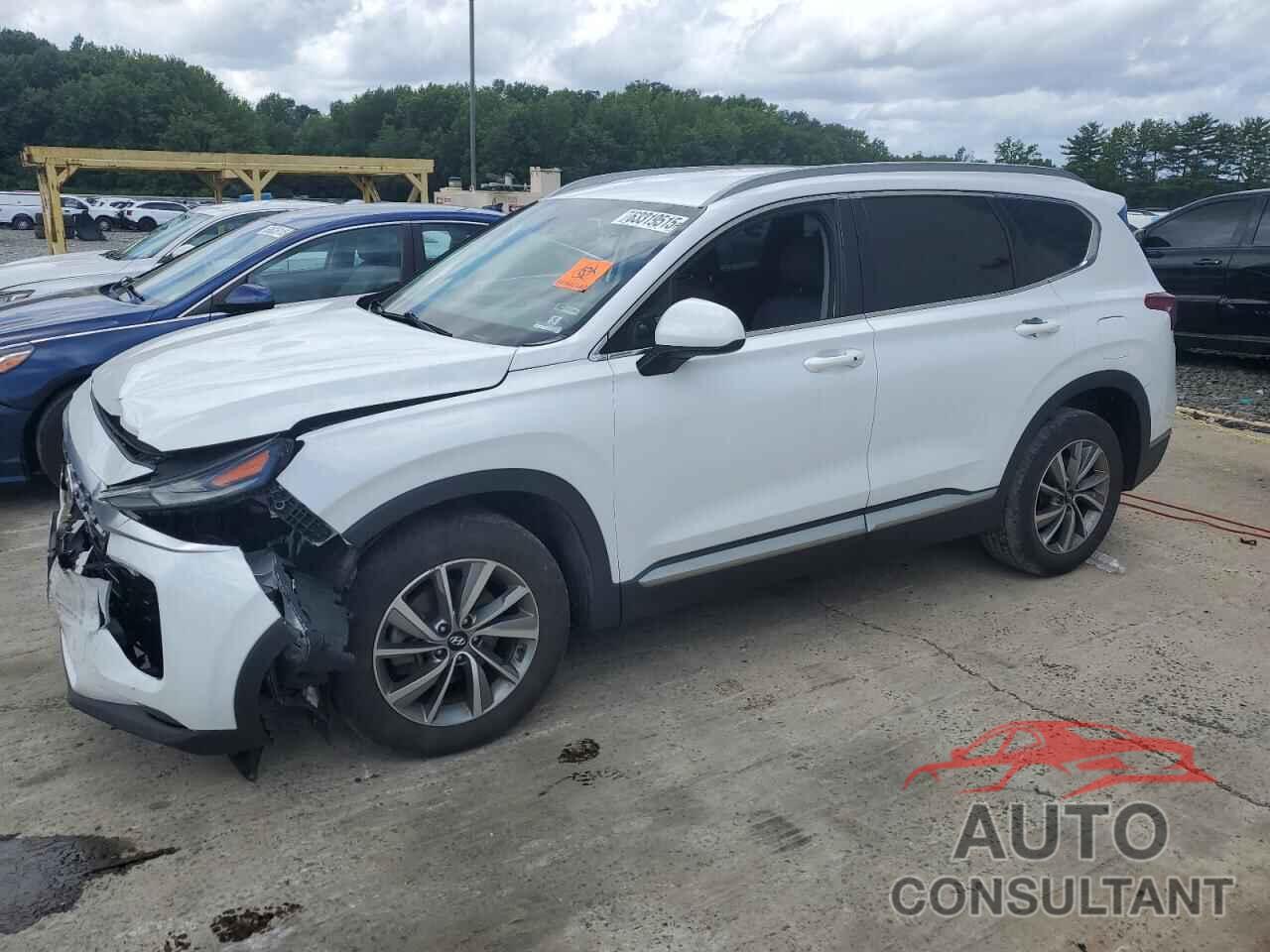 HYUNDAI SANTA FE 2019 - 5NMS3CAD0KH103019