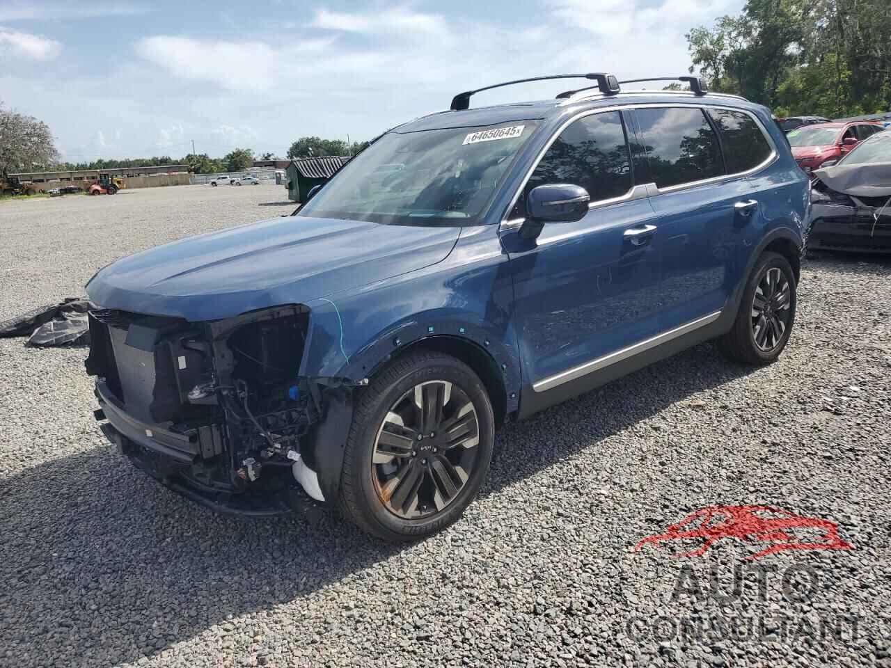 KIA TELLURIDE 2024 - 5XYP5DGC2RG524488