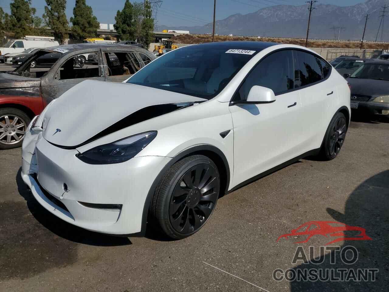 TESLA MODEL Y 2024 - 7SAYGDEF2RF117616