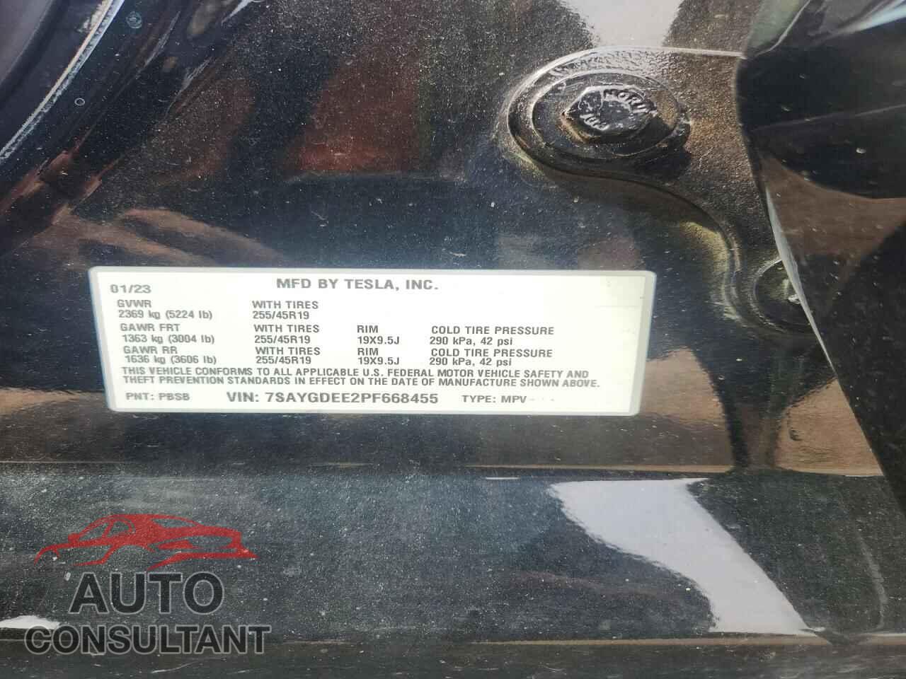 TESLA MODEL Y 2023 - 7SAYGDEE2PF668455