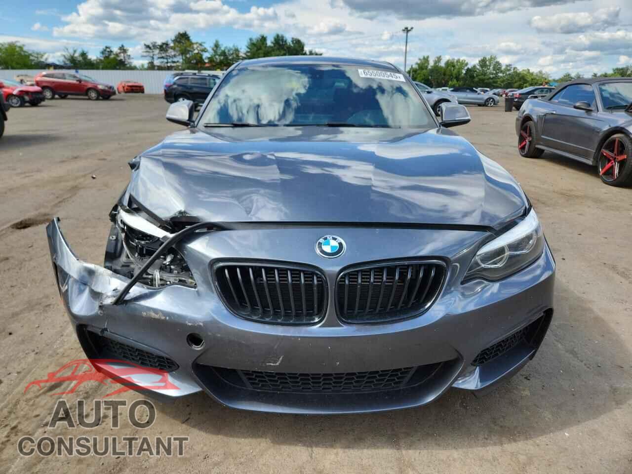 BMW M2 2018 - WBA2J5C55JVC07272