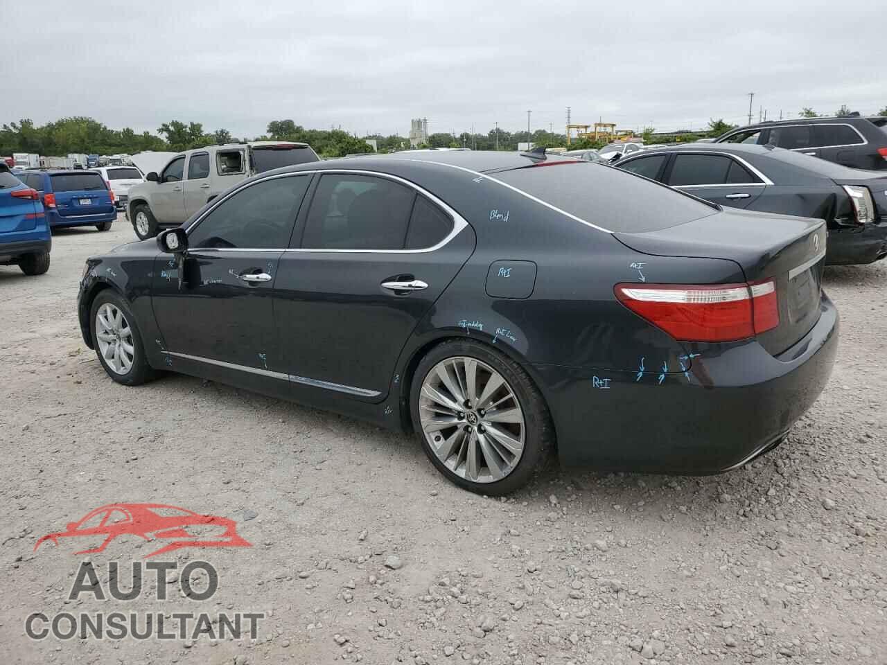 LEXUS LS460 2009 - JTHCL46F995000410