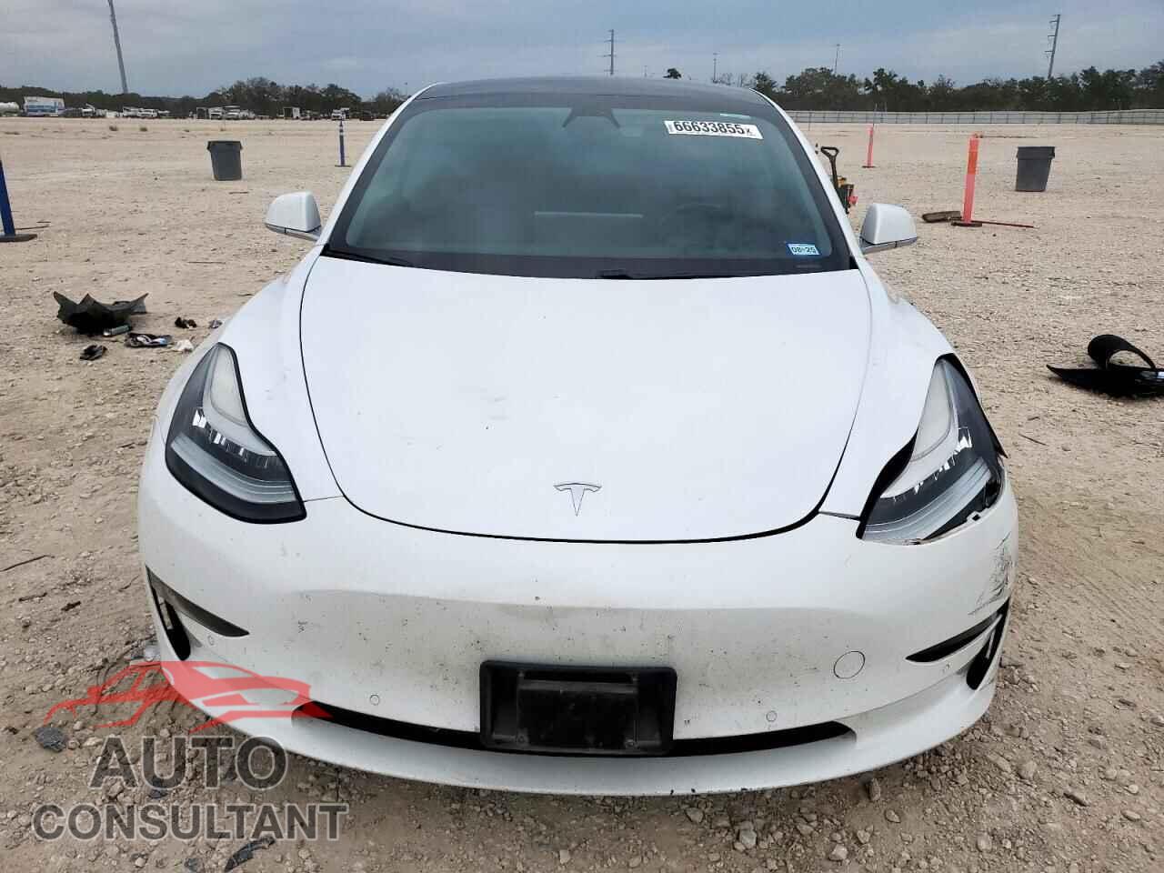 TESLA MODEL 3 2019 - 5YJ3E1EB0KF388334