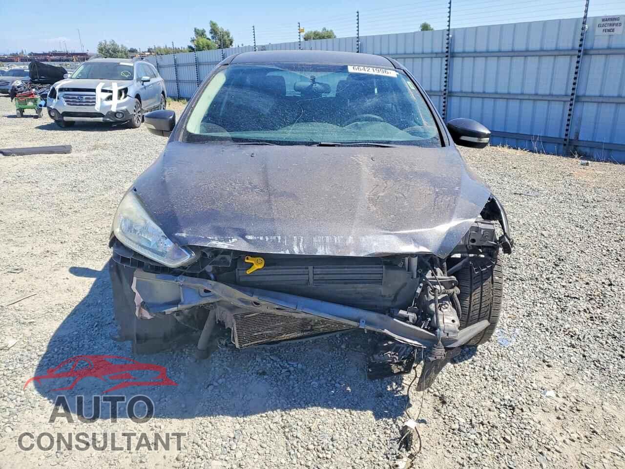 FORD FOCUS 2016 - 1FADP3K20GL276156