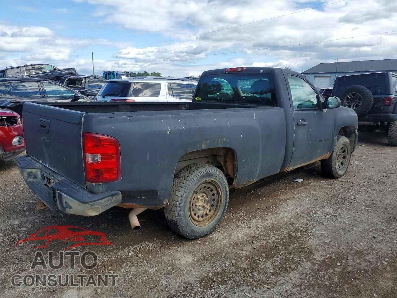 CHEVROLET SILVERADO 2011 - 1GCNCPEX9BZ391983
