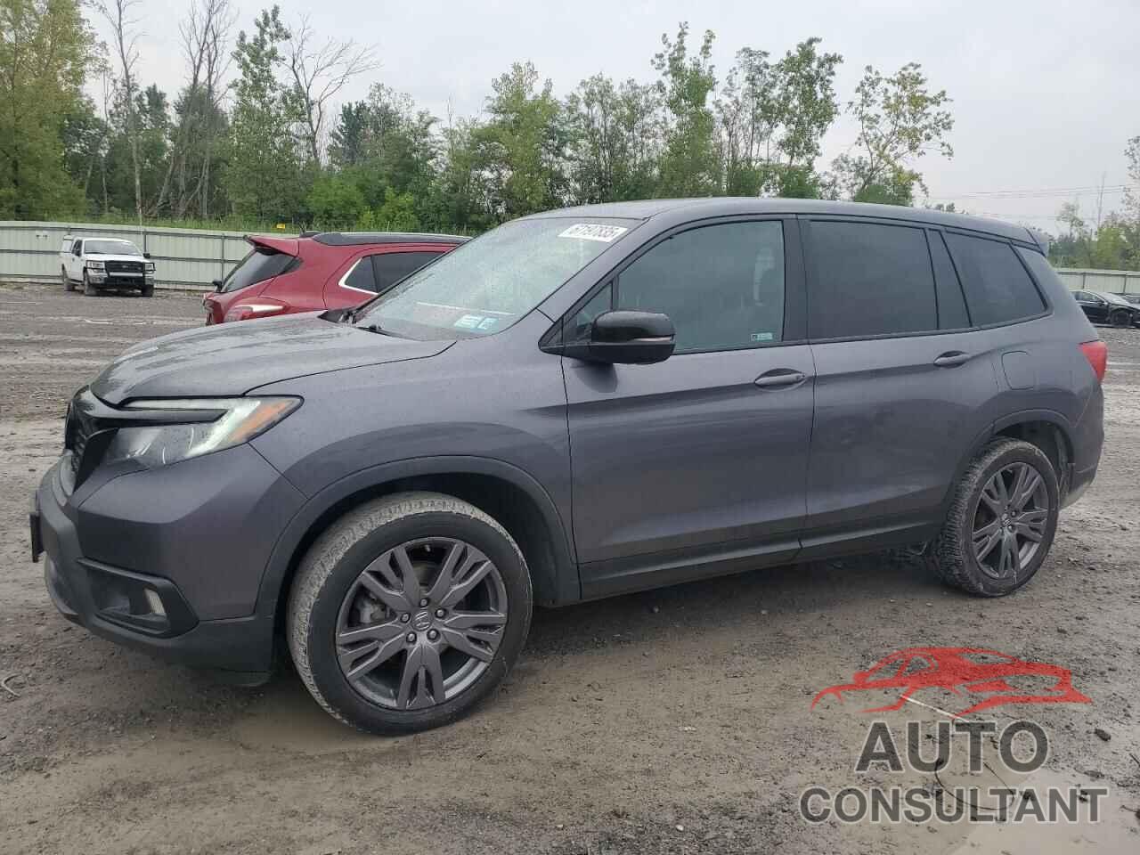 HONDA PASSPORT 2019 - 5FNYF8H54KB019980