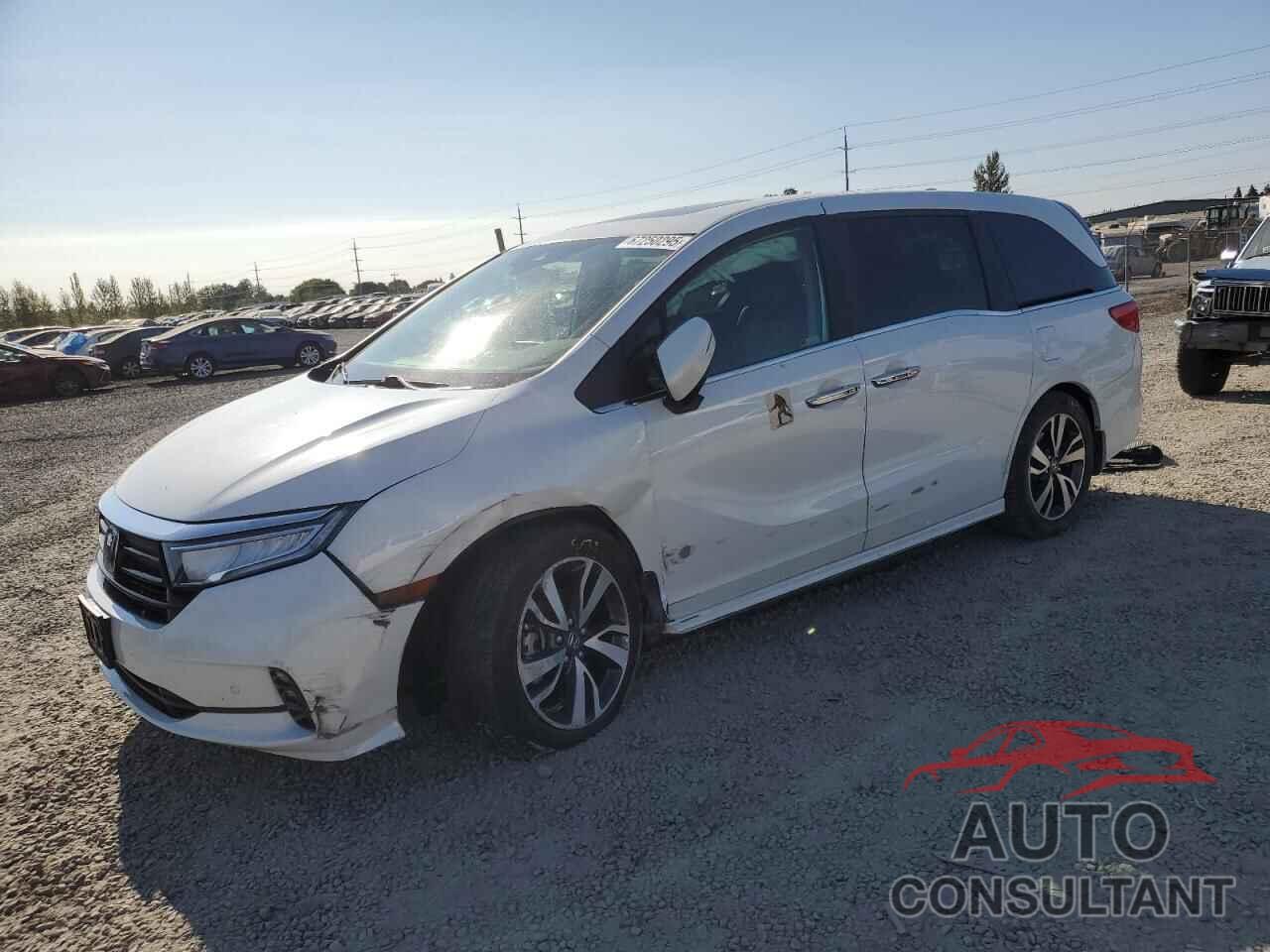 HONDA ODYSSEY 2021 - 5FNRL6H81MB032247