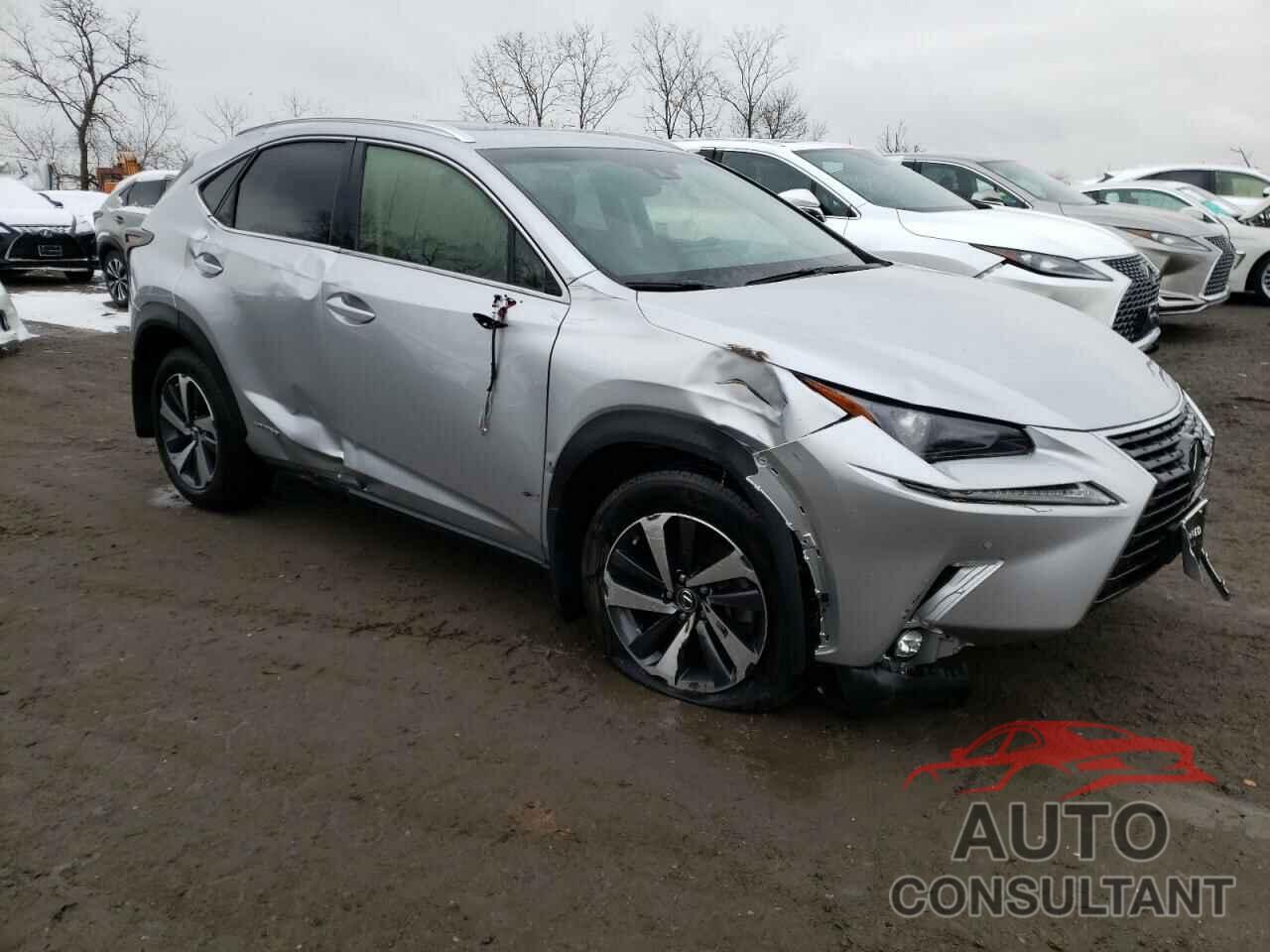 LEXUS NX 2019 - JTJBJRBZ1K2102031