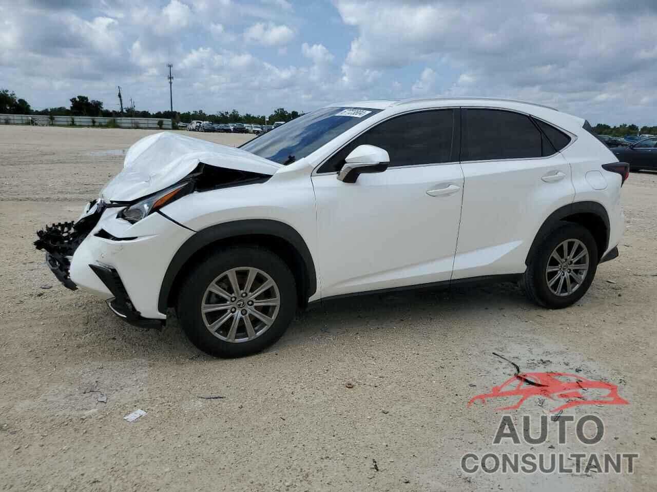 LEXUS NX 2019 - JTJYARBZ4K2120131