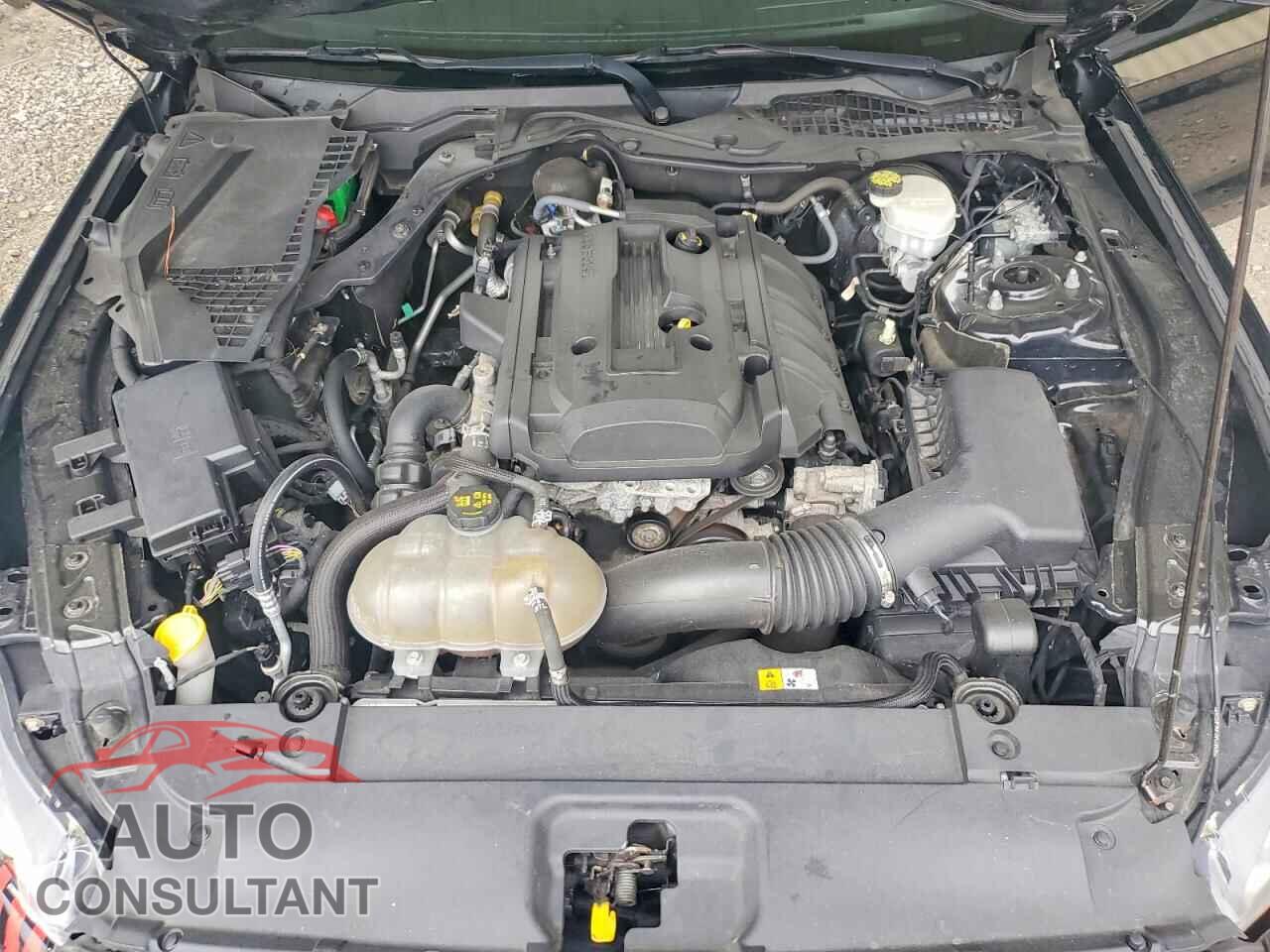 FORD MUSTANG 2017 - 1FA6P8TH5H5316200