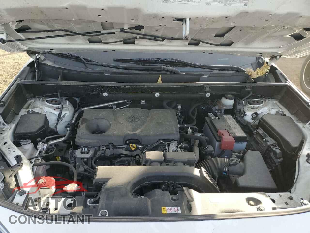 TOYOTA RAV4 2019 - JTMP1RFV8KD015361