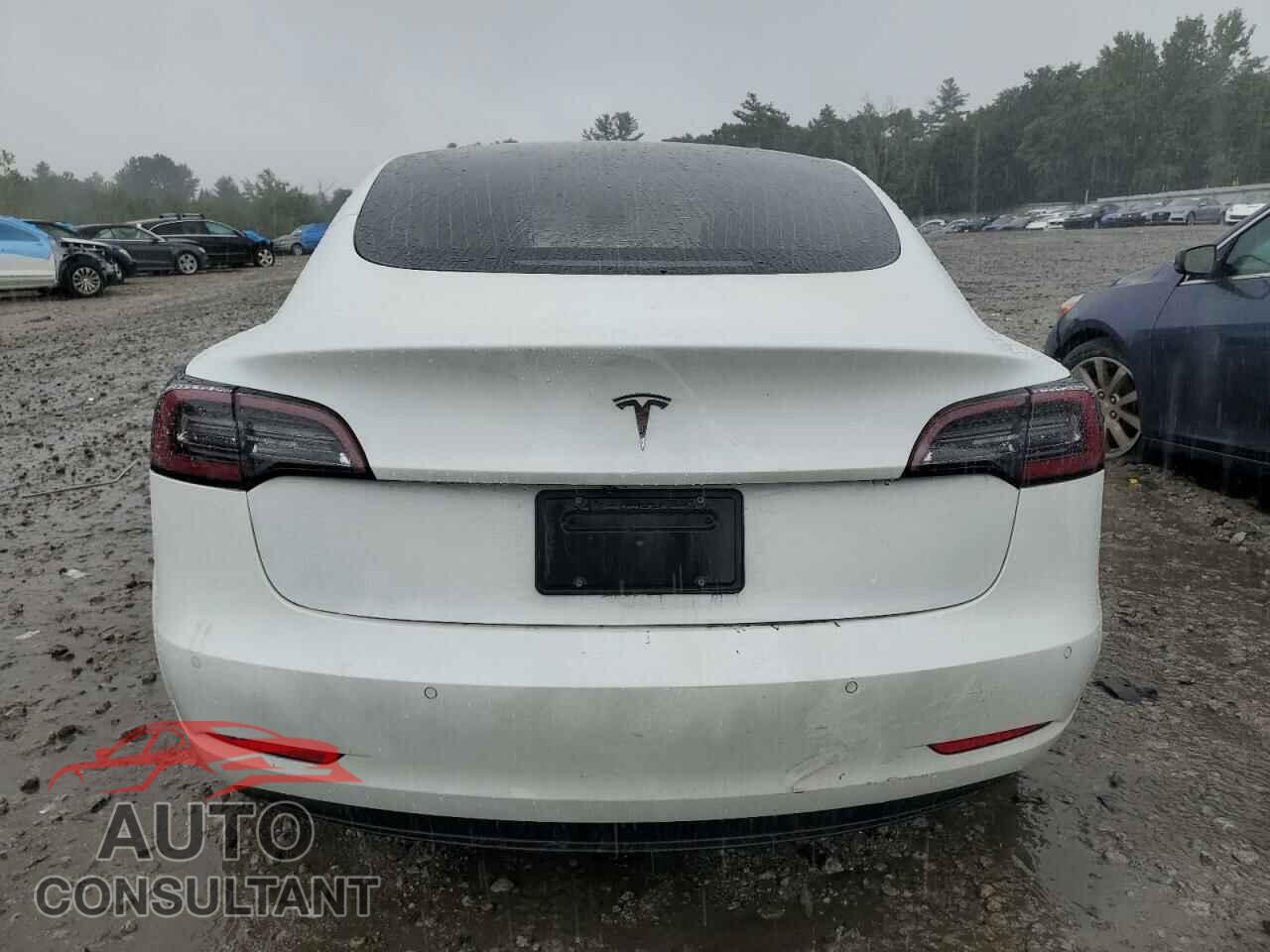 TESLA MODEL 3 2020 - 5YJ3E1EA8LF737622