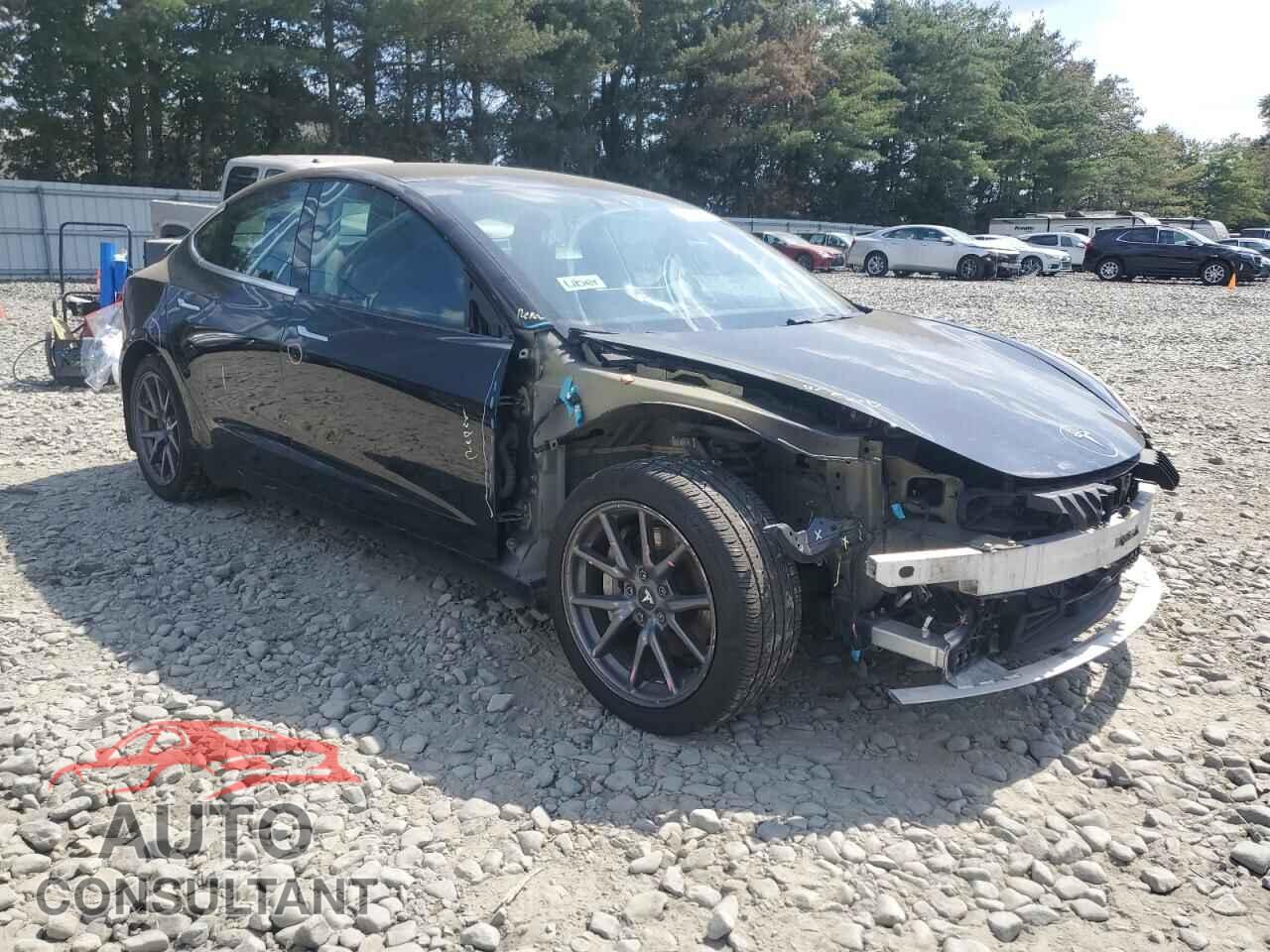 TESLA MODEL 3 2019 - 5YJ3E1EB4KF209227