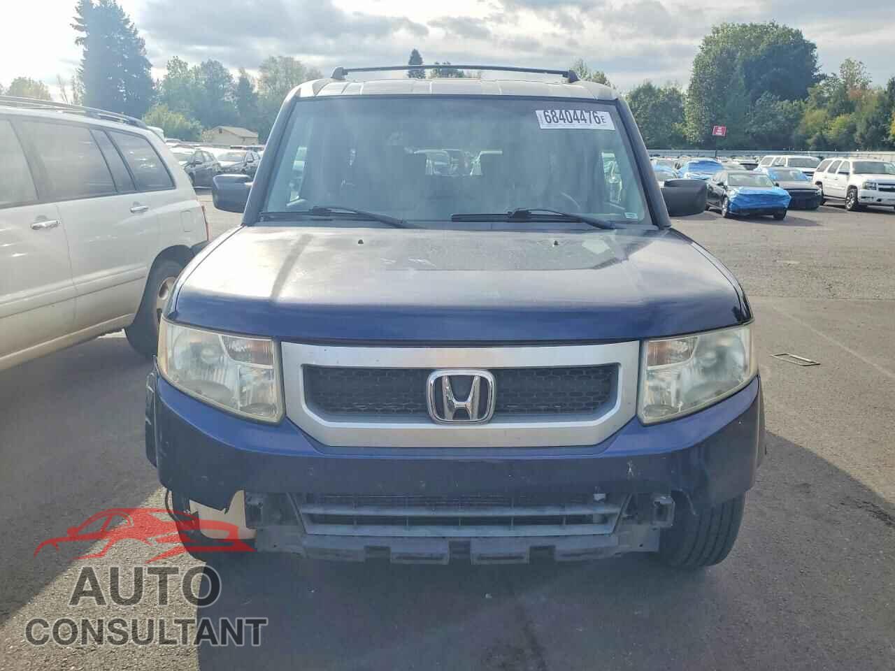 HONDA ELEMENT 2009 - 5J6YH28789L005588