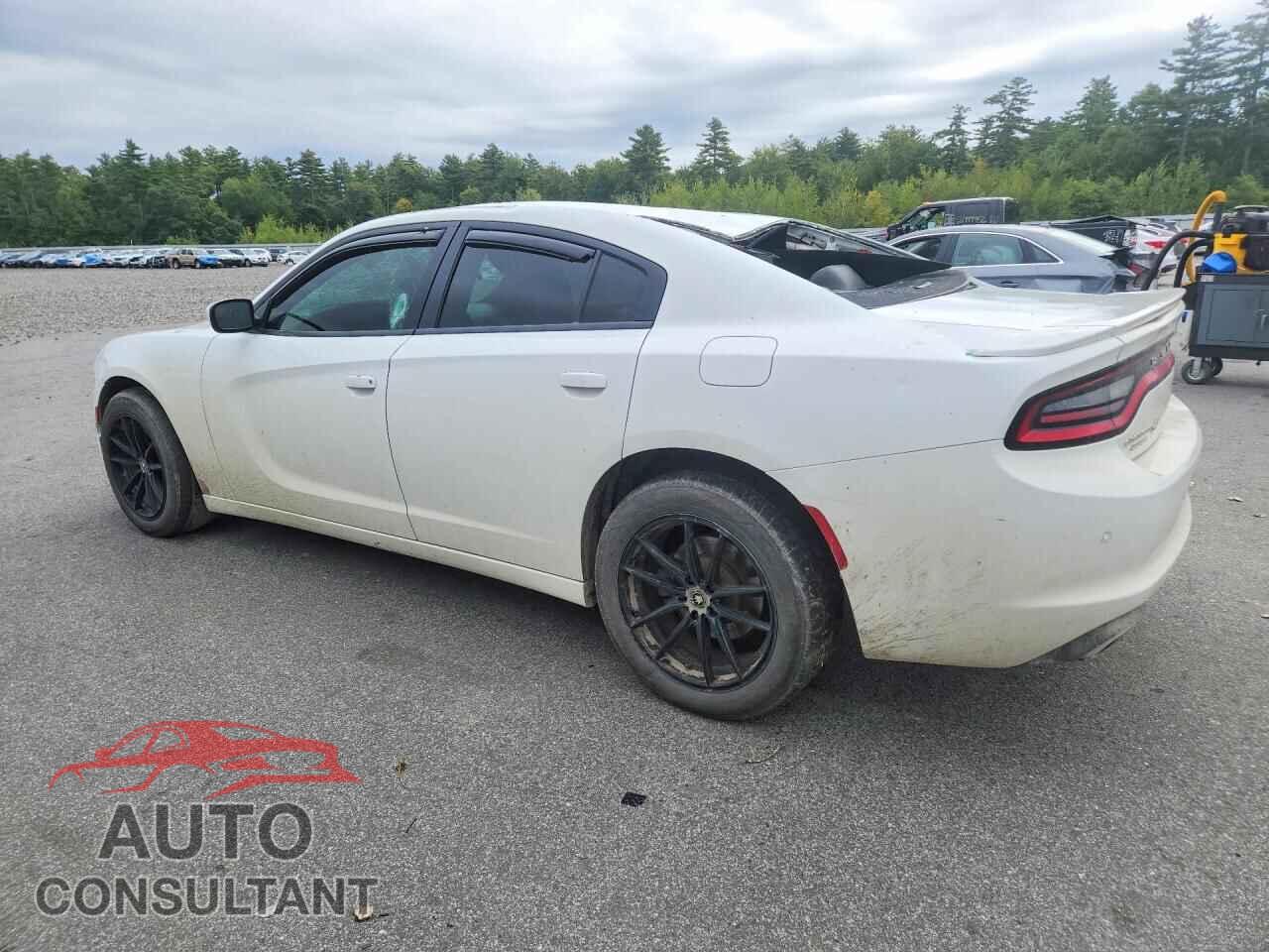 DODGE CHARGER 2019 - 2C3CDXJG1KH520734