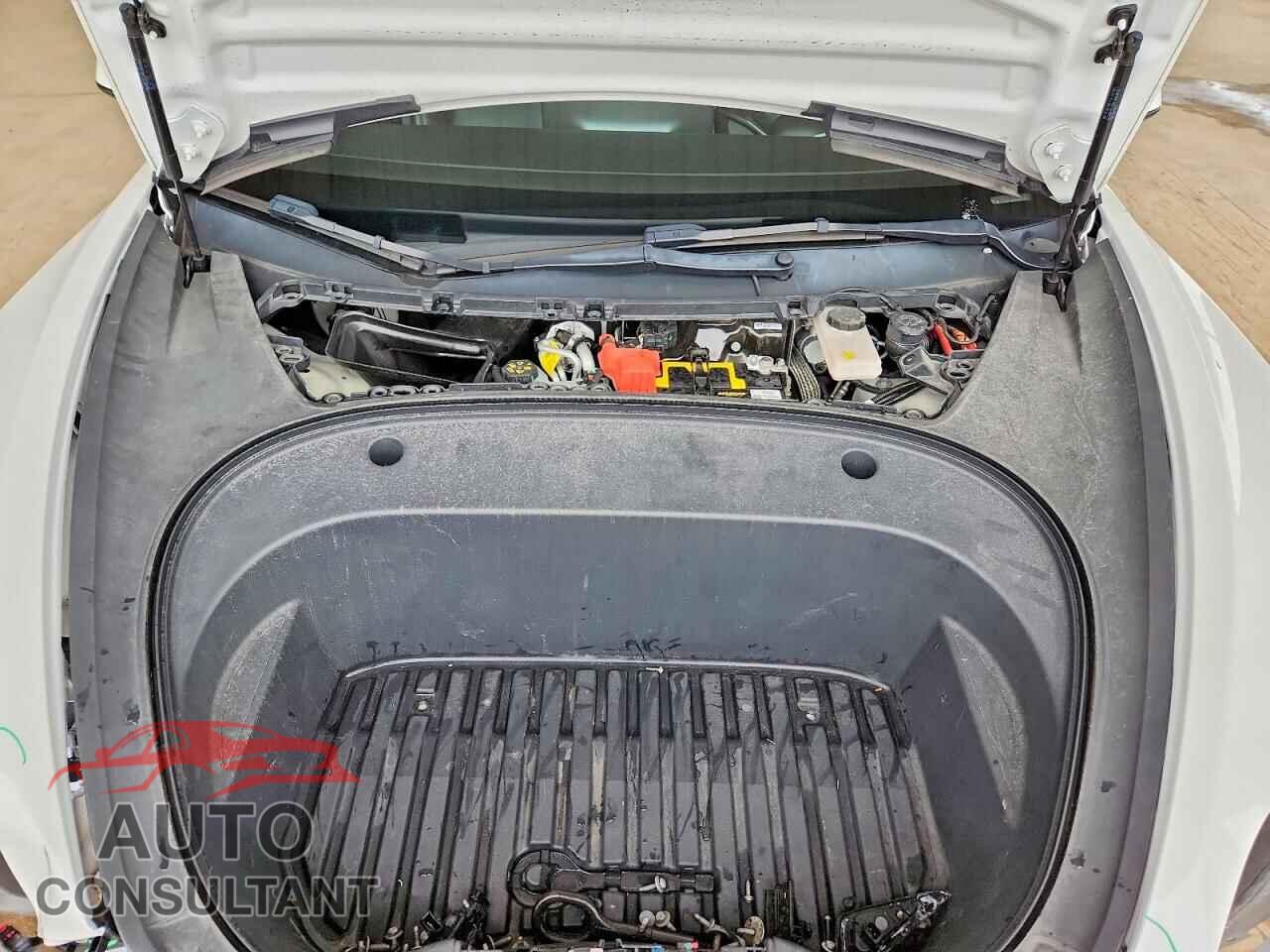 TESLA MODEL 3 2021 - 5YJ3E1EA4MF092095