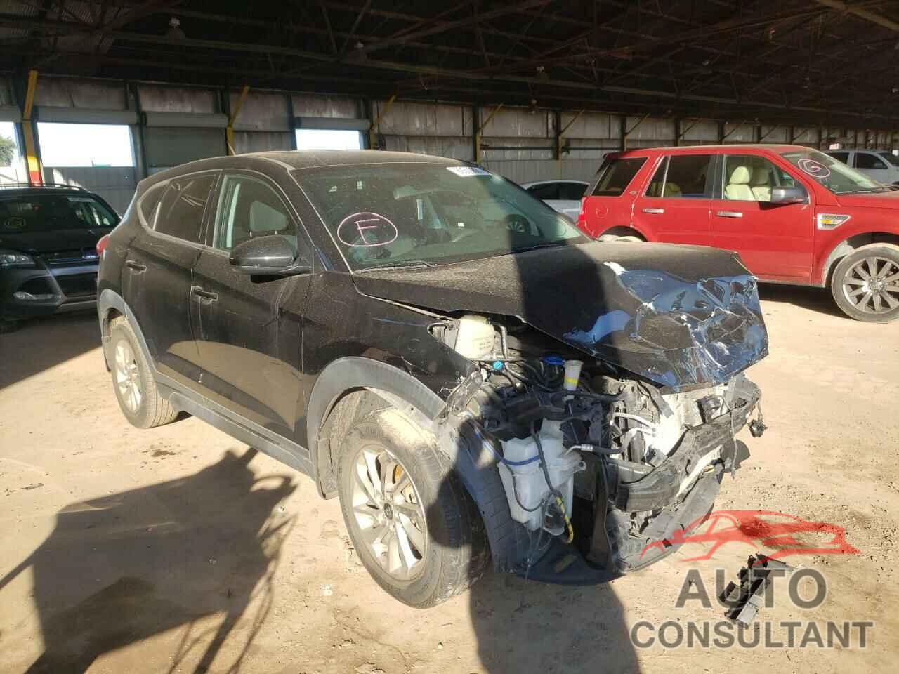 HYUNDAI TUCSON 2017 - KM8J23A49HU382398