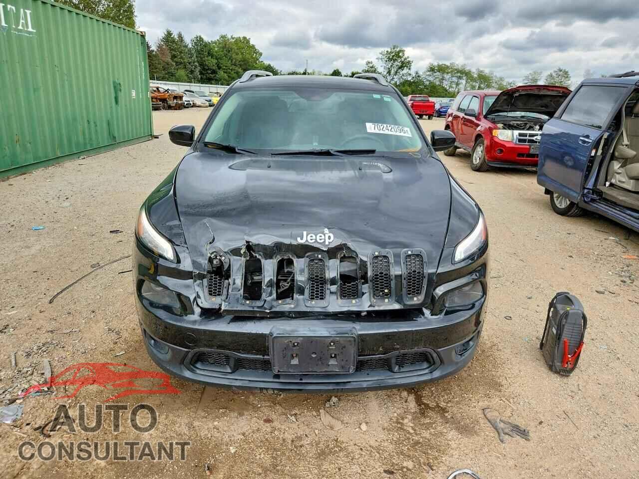 JEEP CHEROKEE 2014 - 1C4PJMCS5EW230508