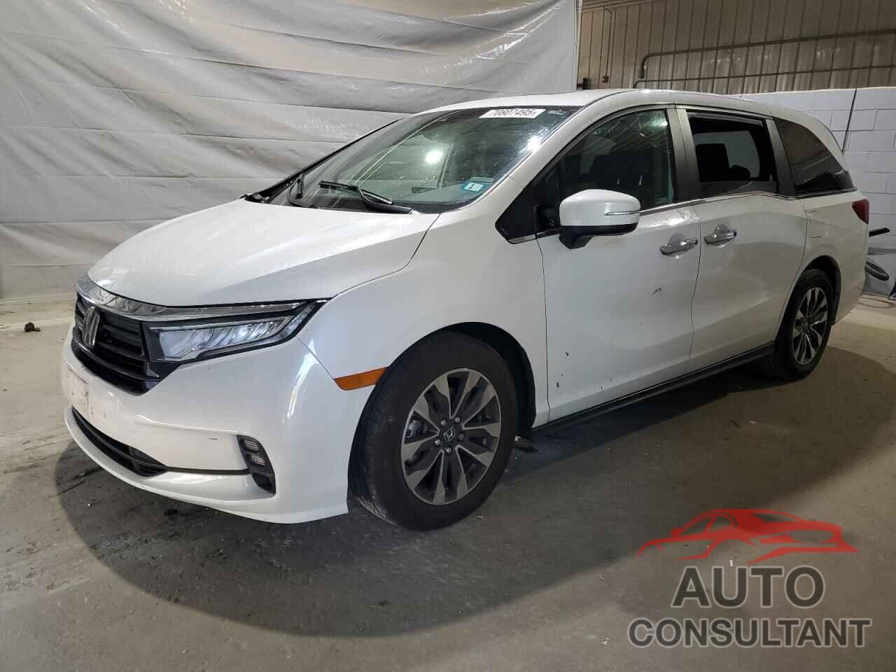 HONDA All Models 2023 - 5FNRL6H67PB068916