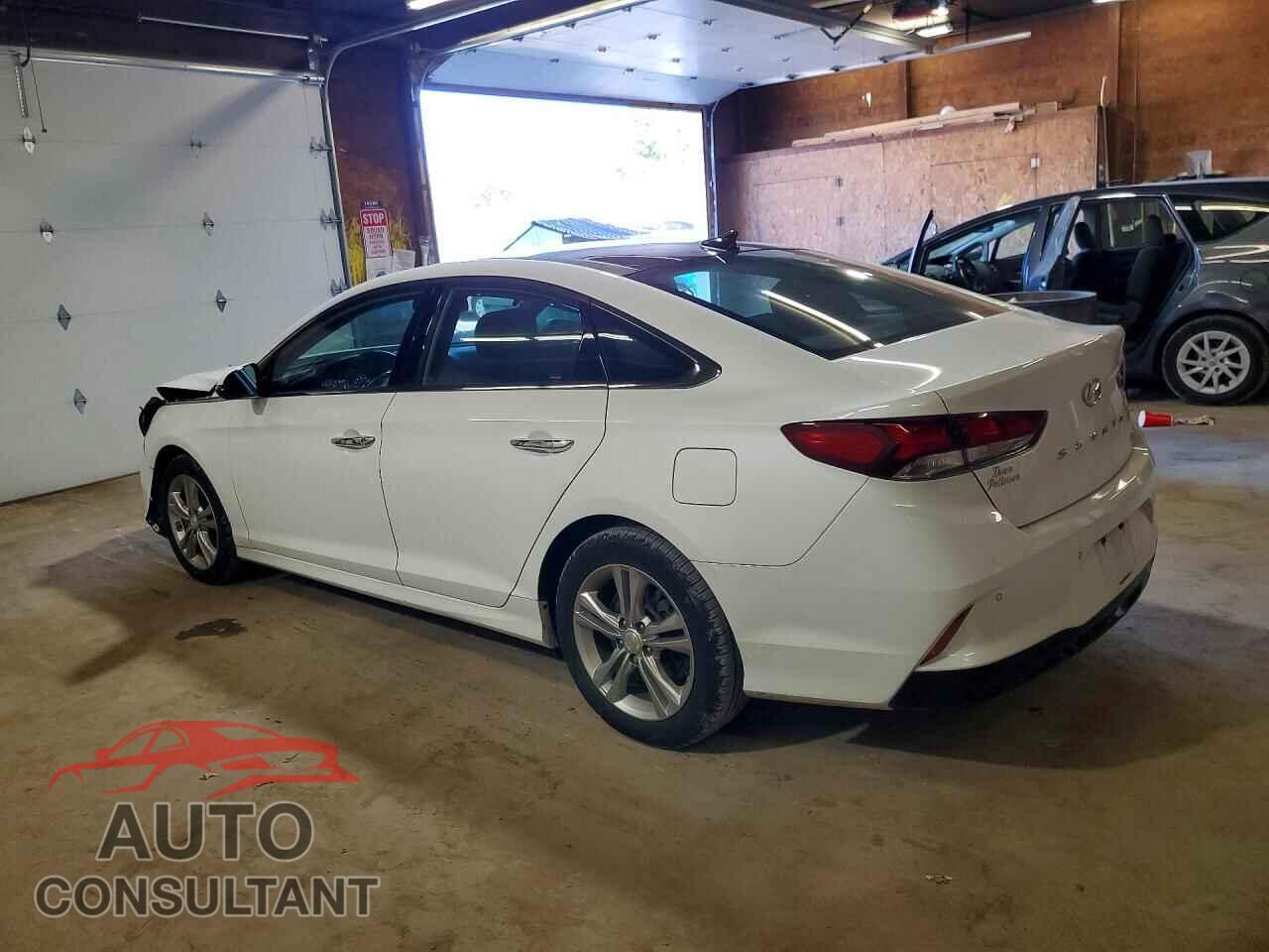 HYUNDAI SONATA 2019 - 5NPE34AF4KH793154