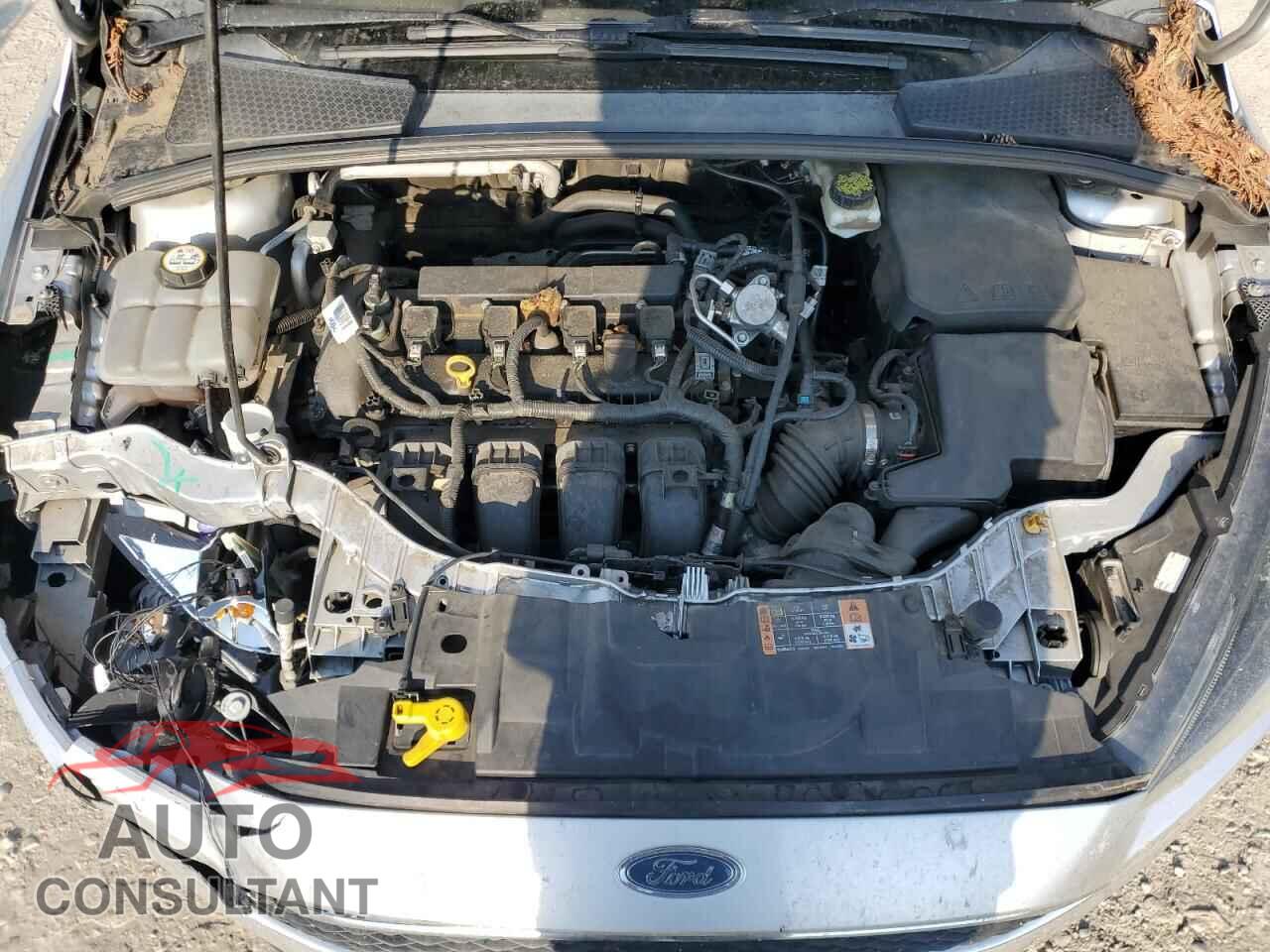 FORD FOCUS 2017 - 1FADP3H22HL206716